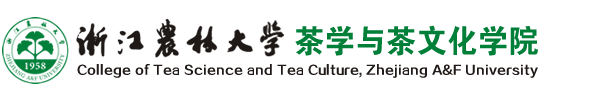 太阳集团